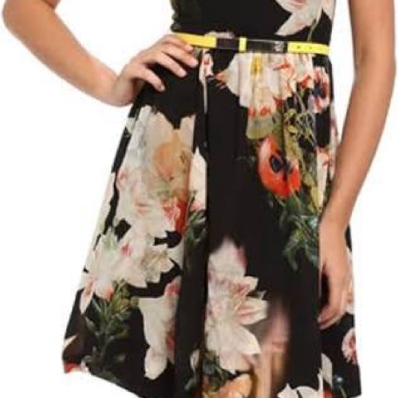 Ted Baker London CAMEELA Dress - Picture 4 of 5